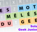 Geek Junior n°49
