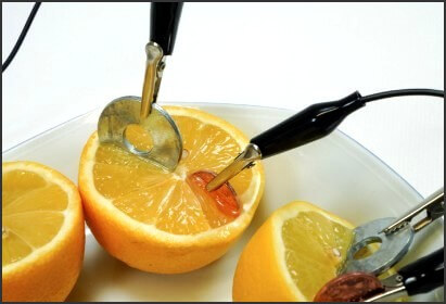 citrons 1