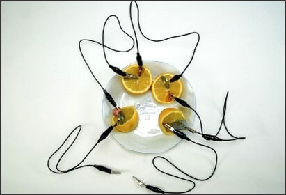 citrons 2