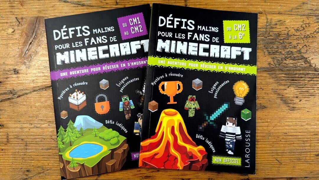 defis minecraft