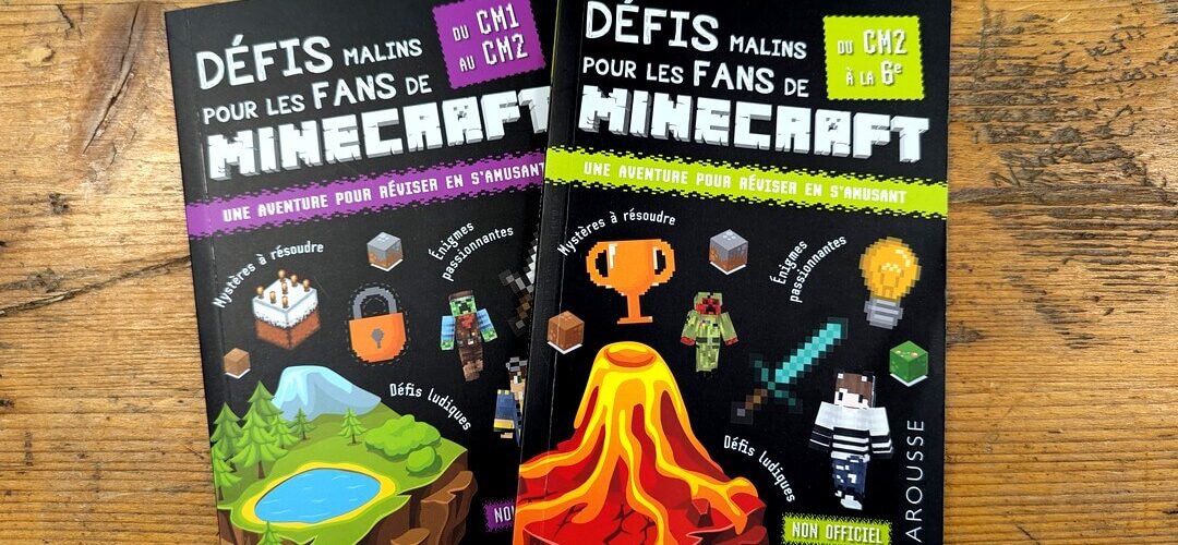 defis minecraft