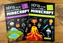 defis minecraft