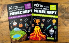 defis minecraft