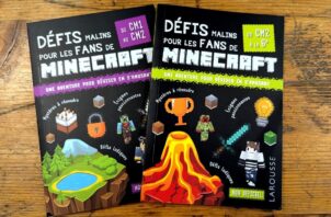 defis minecraft