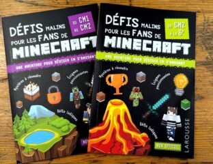 defis minecraft