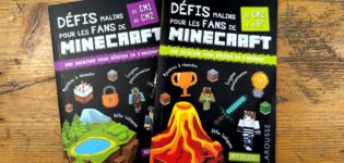 defis minecraft