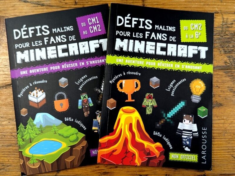 defis minecraft