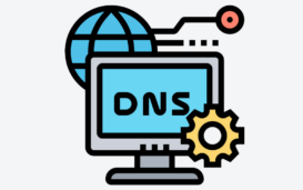 DNS icon c