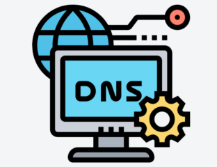 DNS icon c