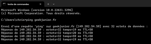 ping geekjuniorfr