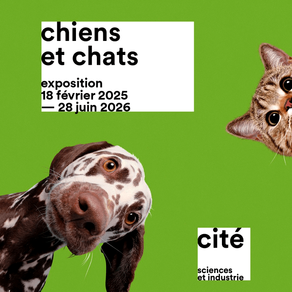 expo chiens chats 02