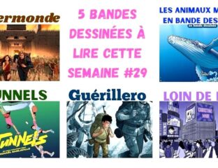 bd semaine 29 c