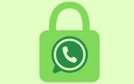 whatsapp 00