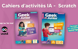 Cahiers d'activités IA et programmation - Geek Junior