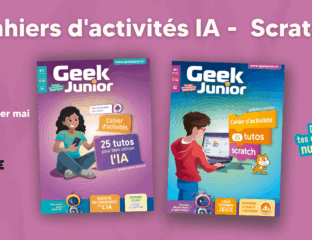 Cahiers d'activités IA et programmation - Geek Junior