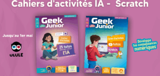 Cahiers d'activités IA et programmation - Geek Junior