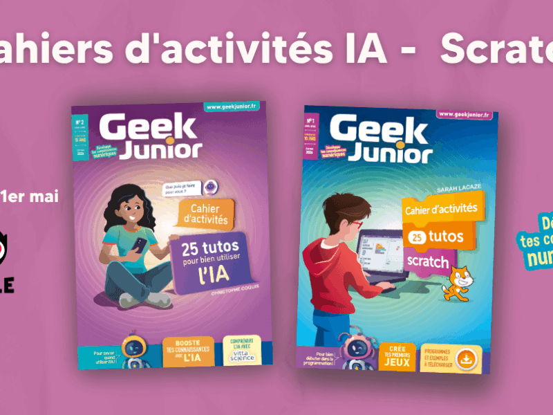 Cahiers d'activités IA et programmation - Geek Junior