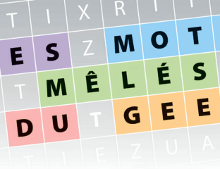 HS Geek Junior Intelligence Artificielle - mots mêlés