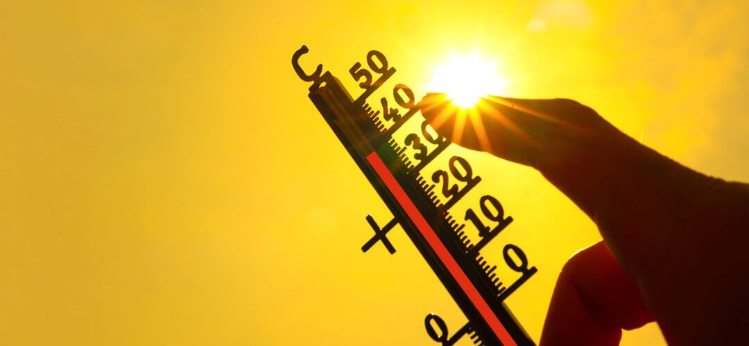 canicule c