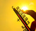 canicule c