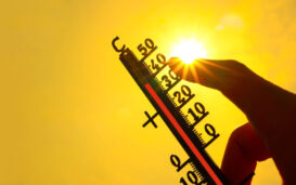 canicule c