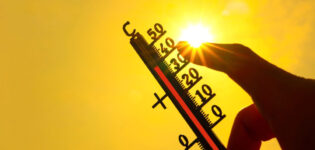 canicule c