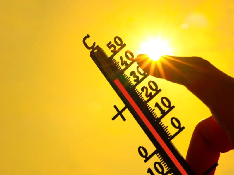 canicule c