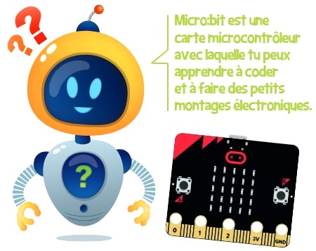 micro bit 1